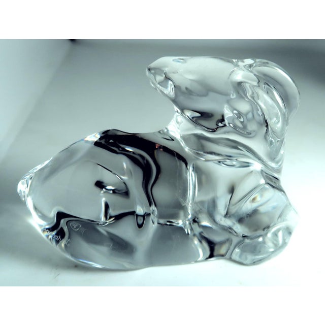 Baccarat, France Fine Crystal Ram Paperweight For Sale - Image 13 of 13