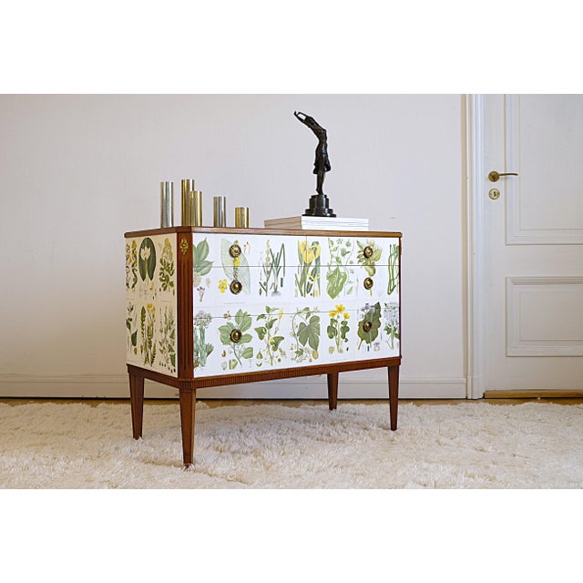 Wood Gustavian Chest attributed to Josef Frank from CAM Lindman Nordens Flora, Sweden, 1940s For Sale - Image 7 of 8