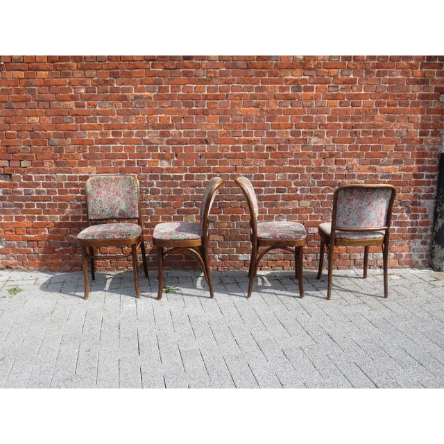 20th Century Model Prague No. 811 Chairs by Josef Hoffmann, Set of 4 For Sale - Image 4 of 14