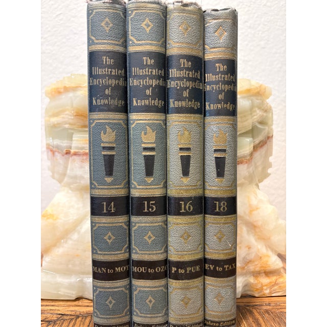 Bring an air of historic, old-world intellect to your workspace with this striking 4-book stack of vintage encyclopedias,...