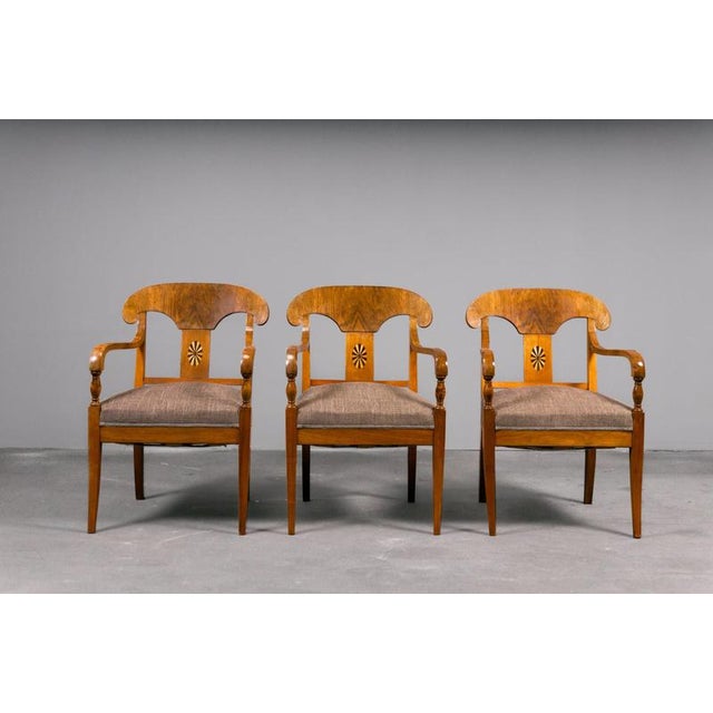 Biedermeier Style Chairs, Early 20th Century, Set of 3 For Sale - Image 3 of 18
