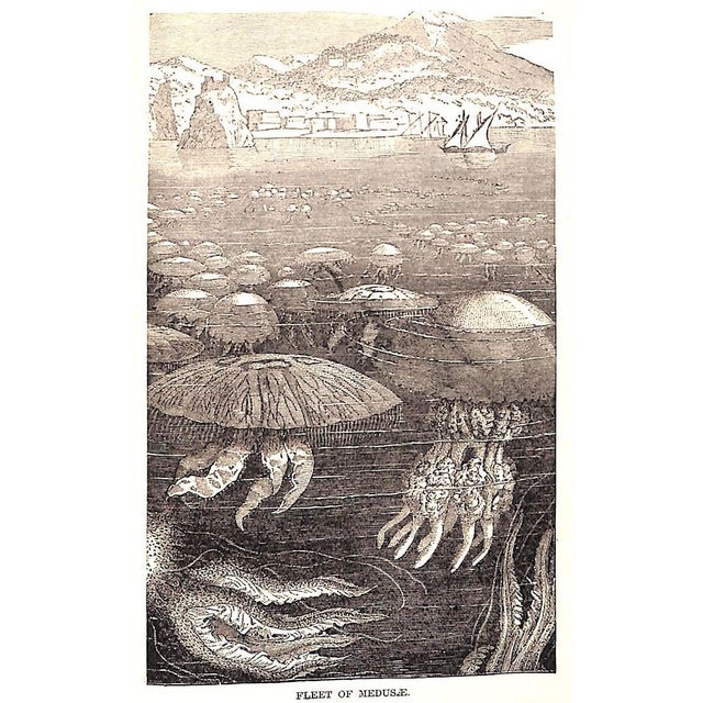 "The Water World" 1886 Van Dervoort, Prof. J. W. For Sale - Image 4 of 12