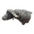 Late 20th Century Cape Buffalo From Africa Custom Wall Mount Taxidermy For Sale