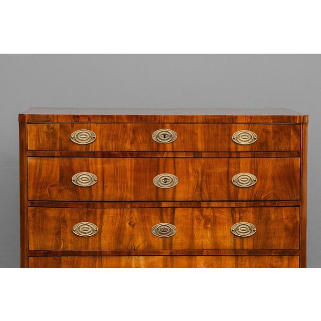 Biedermeier Chest of Drawers in Walnut For Sale - Image 13 of 18