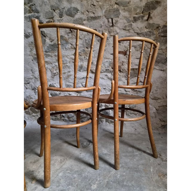 Vintage Bentwood Bistro Chairs from Fischel, Czechoslovakia, 1940s, Set of 4 For Sale - Image 10 of 18