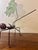 Brown Metal Ant Sculpture Carrying Leaf by Gerardo Fernandez For Sale - Image 8 of 8