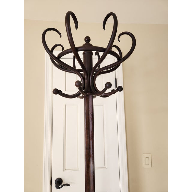 1980s Antique Bentwood Hat Stand / Coat Rack, Attributed to Michael Thonet (C. 1880-1900) For Sale - Image 5 of 12