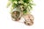Silver Salt and Pepper Shakers, Set of 2 For Sale - Image 6 of 6