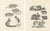Black After Schinz, Rodents & Hares, Guinea Pig & Jerboa, 1830, Prints, Set of 2 For Sale - Image 8 of 9