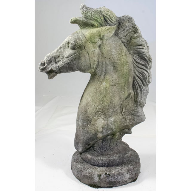 Figurative 1960s Immense Vintage Cast Cement, Concrete Horse Head Sculpture For Sale - Image 3 of 14