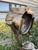 1950s Vintage Industrial Military Tripod Spotlight Floor Lamp For Sale - Image 5 of 9