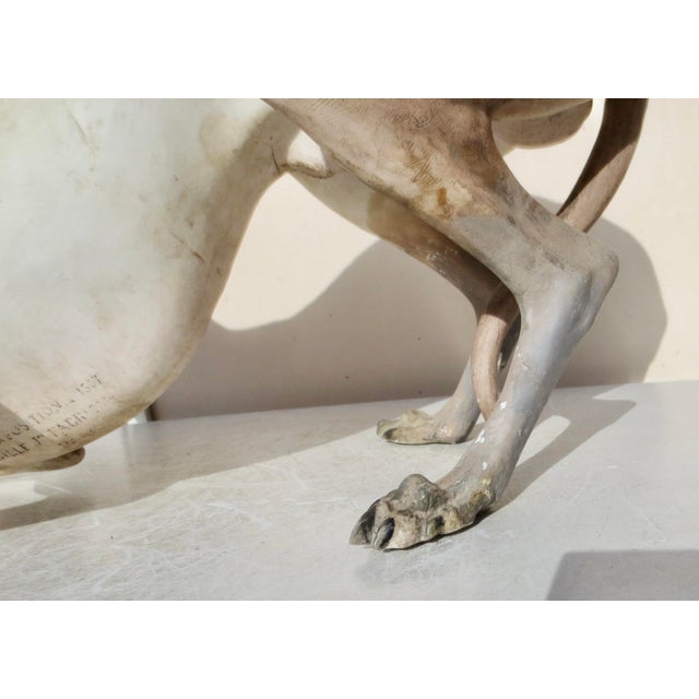 Mid 19th Century Life Size Antique French Porcelain Grey Hound 1867 ( 159 Years Old) For Sale - Image 5 of 16