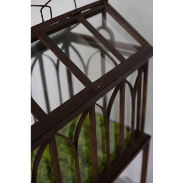 Circa 1900 Antique Wrought Iron Wardian Case Terrarium Chairish