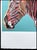 After Andy Warhol, Grevys Zebra Blue, 1980s, Lithograph For Sale - Image 4 of 7