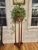 An elegant vintage plant stand or pedestal featuring figured burl veneer, warm wood tones, and brass roundel accents. A...