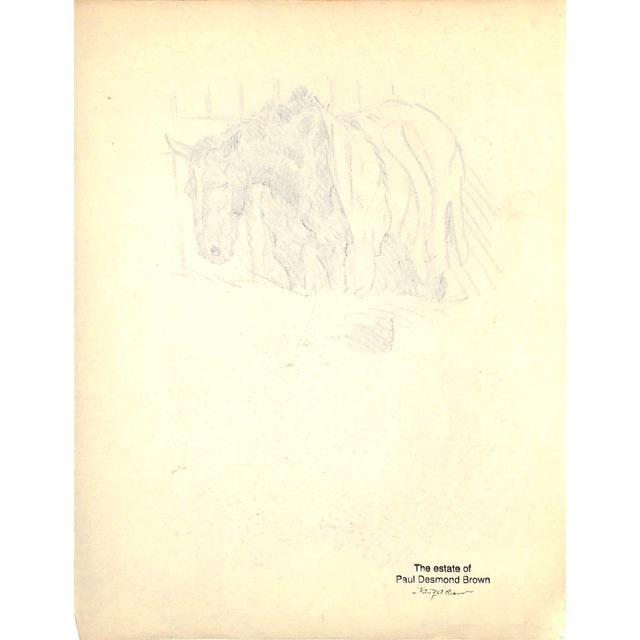 Traditional Original 1944 Pencil Drawing From Hi, Guy! The Cinderella Horse by Paul Brown 19 For Sale - Image 3 of 6