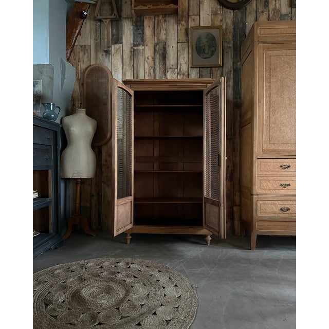 Antique Library with Wire Mesh Doors, 1890s For Sale - Image 6 of 16