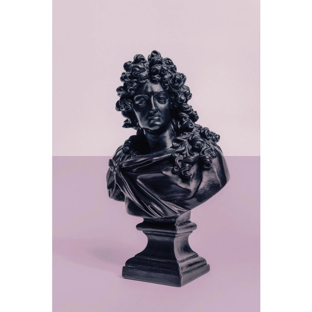 Guy Sargent, Louis XIV Pink, Archival Pigment Print For Sale - Image 6 of 6