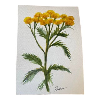 “Golden Wildflower” Original Botanical by Nancy Smith For Sale