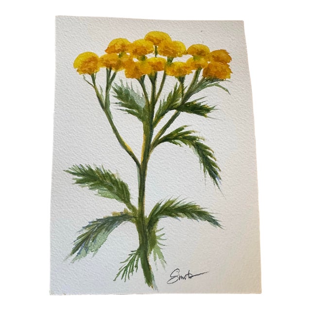 “Golden Wildflower” Original Botanical by Nancy Smith For Sale