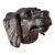 19th Century German Black Forest Carved Setter Head Architectural Fragment For Sale