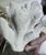 Sculpture Materials Pair Faux Coral White Thick Finger Mounted on Glass Decorative Objects For Sale - Image 7 of 12