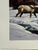 Paper 1992 Jocelyn Lillpop Russell Under Mineral Point Signed Numbered Wildlife Print Elk San Juan Mtn. Range For Sale - Image 7 of 9