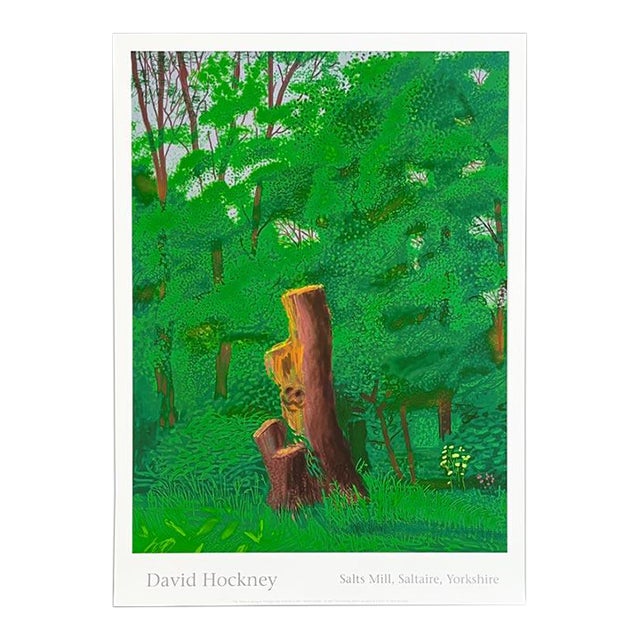 David Hockney (The Arrival of Spring) 12th May 2011 For Sale