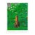 David Hockney (The Arrival of Spring) 12th May 2011 For Sale