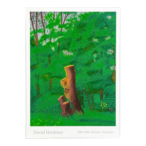 David Hockney (The Arrival of Spring) 12th May 2011