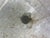 Mid 20th Century Italian Marble Sink in Square Organic Modern Style For Sale - Image 13 of 13