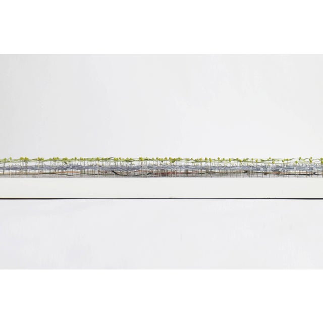 2000 - 2009 Matthew Picton "Vienna" Pinned-Film Artwork For Sale - Image 5 of 7