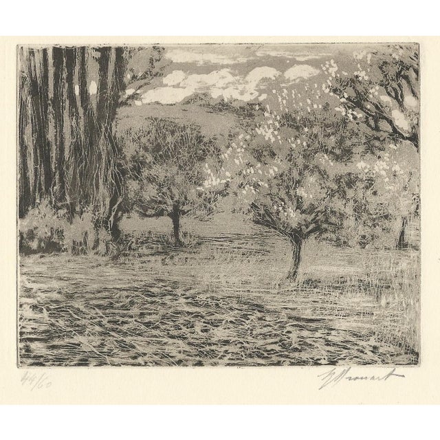 Raphaël Drouart, La Cave Aus Fées (The Fairies' Cave), 1920s, Etching For Sale - Image 10 of 10