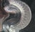 Art Deco Moulded Glass Foliate Bowl from Lalique France, 1910s For Sale - Image 3 of 18
