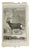 Figurative Set of 2 Antique Copper Plate Engravings Prints Buffon 1782 For Sale - Image 3 of 3