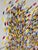 Absolutely fabulous contemporary abstract oil painting on canvas. Bold color palette. Artist created a canvas filled with...