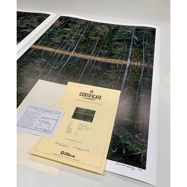 "Deep_Mirroring_Forest_011" Diptych, Limited Edition Fine Art Photograph by Bernhard Lang, Set of 2 For Sale - Image 11 of 13