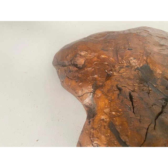 Brutalist Root Wood Vide Poche or Bowl, France, 1960s For Sale - Image 4 of 12