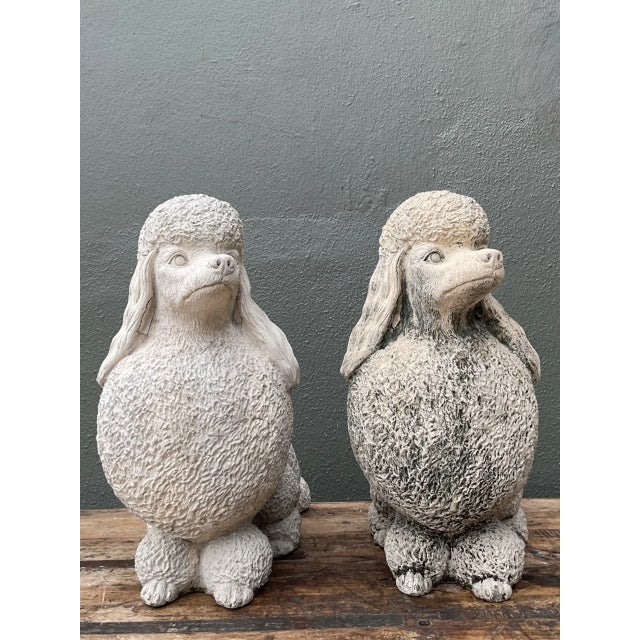 Late 20th Century Vintage Cement Poodle Sculptures - A Pair For Sale - Image 5 of 12