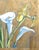 2020s "Iris and Calla Lily in Gold" Modern Watercolor by Martha Holden For Sale - Image 5 of 7