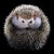 Tim Platt, Hedgehog #1, 2017, Archival Pigment Print For Sale - Image 6 of 6