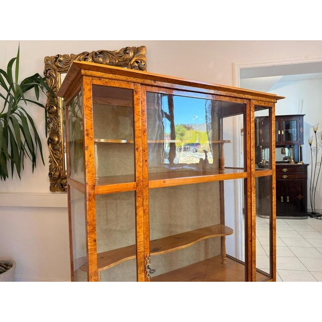 Biedermeier Glass-Fronted Poplar Display Cabinet For Sale - Image 10 of 17