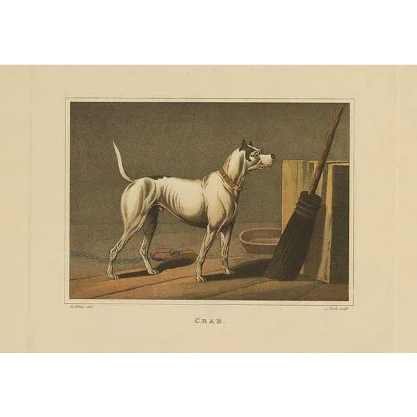 J. Clar after Henry Alken, Dog Named Crab by J. Clark, 1820, Aquatint on Paper For Sale - Image 3 of 9
