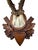Roe deer trophy on unique wood plaque.