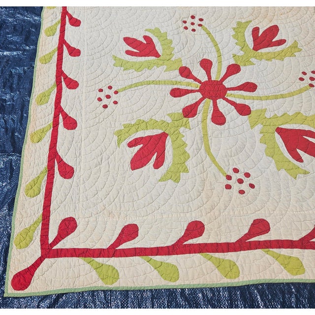 Late 19th Century Applique Quilt For Sale - Image 5 of 12