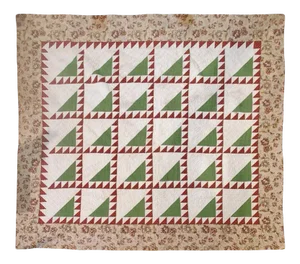19th Century Lady of the Lake Quilt With Chintz Border