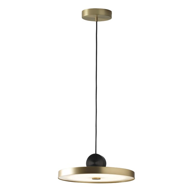 Calee V4 Pendant by Pool For Sale