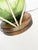 Glass Wooden Table Lamp with Glass Globe, France, 1960s For Sale - Image 7 of 10