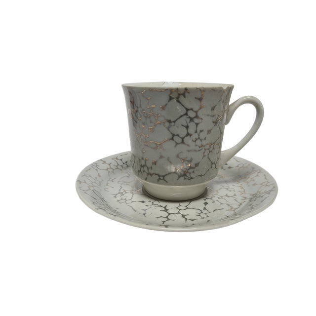 Vintage Polish Cup and Saucer from Wałbrzych Pottery, 1970s, Set of 2, in Worn conditions. Designed 1970 to 1979