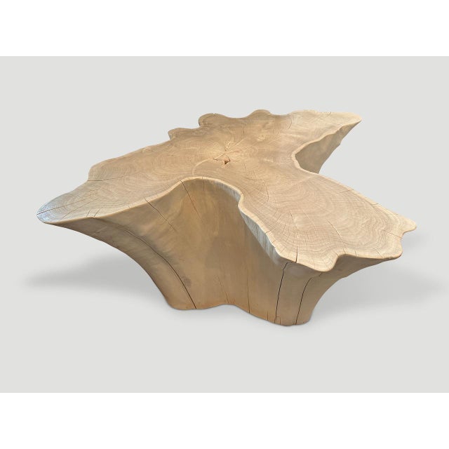 Andrianna Shamaris Amorphous Bleached Teak Wood Coffee Table For Sale - Image 4 of 18